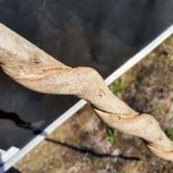 Glass tip handmade walking stick - Picture 5 of 7